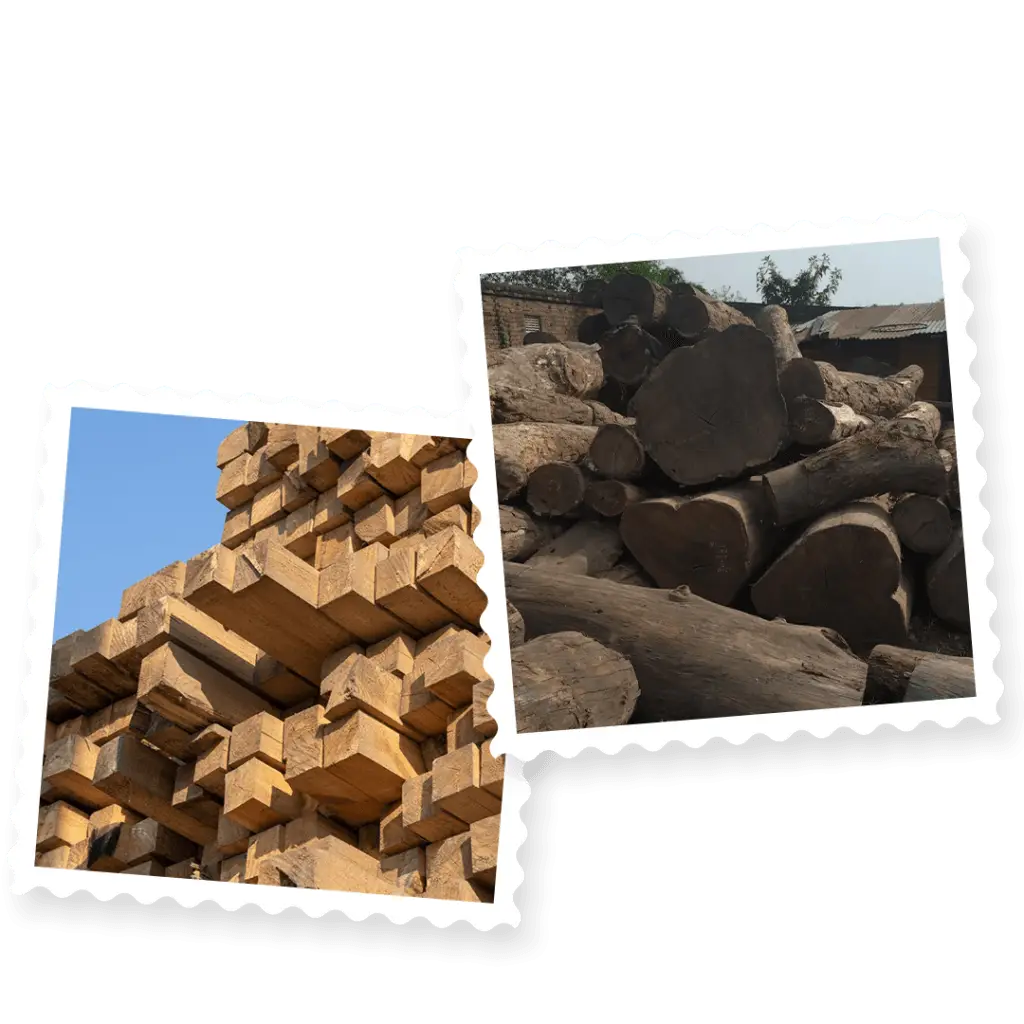 Mixed hardwood firewood and timber logs at BBS Sawmill, suitable for firewood, biomass fuel, industrial heating, and woodworking applications in Nepal.