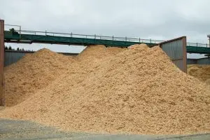 Bulk wood sawdust available at BBS Sawmill, supplying sawdust for biomass energy, poultry farms, mushroom cultivation, landscaping, and manufacturing across Nepal.
